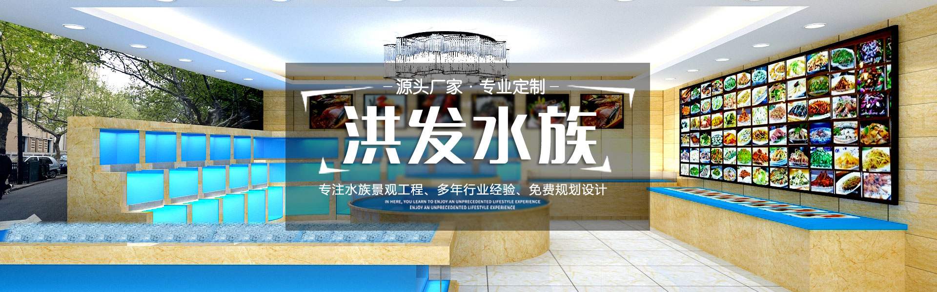鷢ˮ